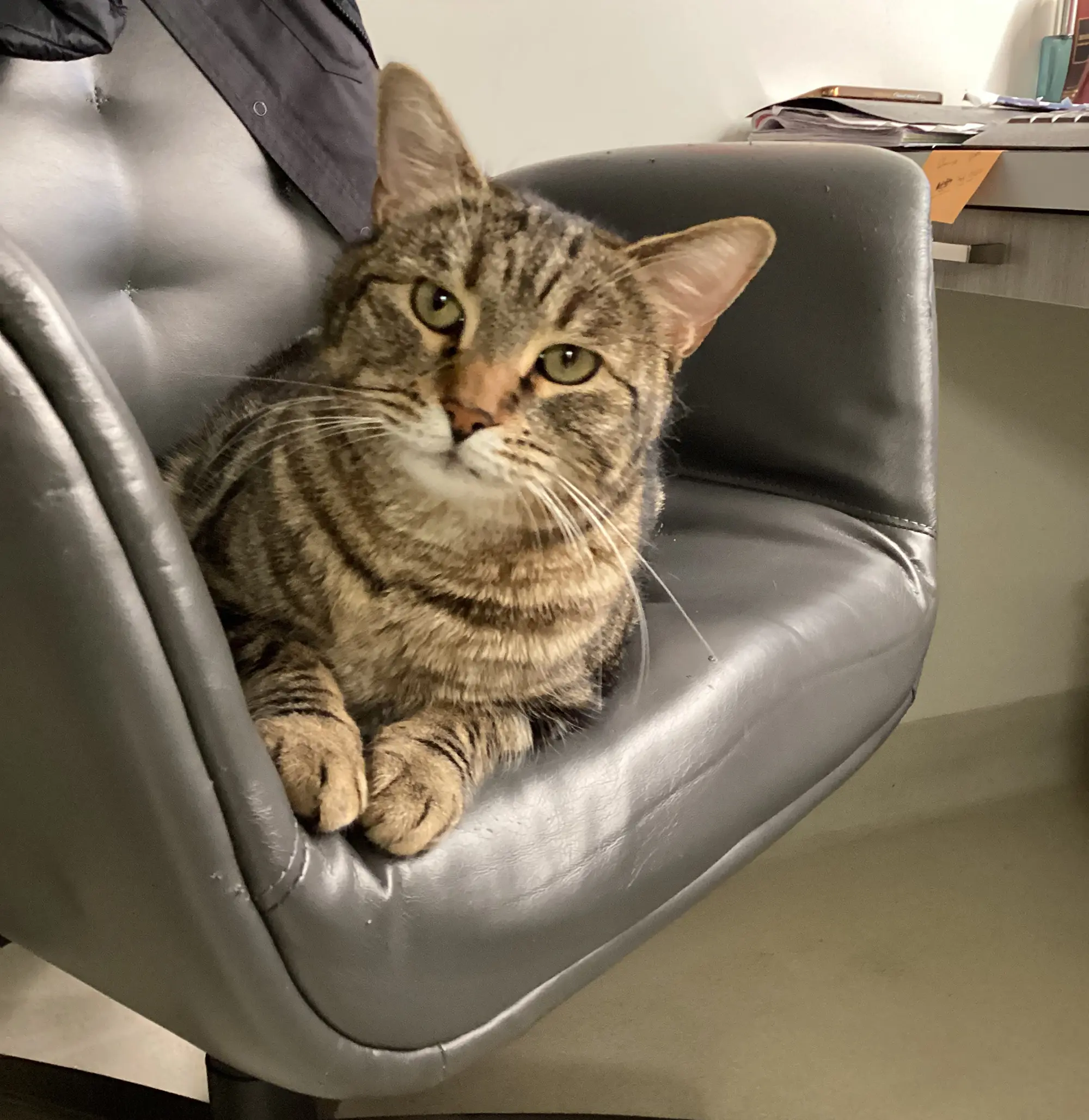 Riverpark Pet Hospital moment