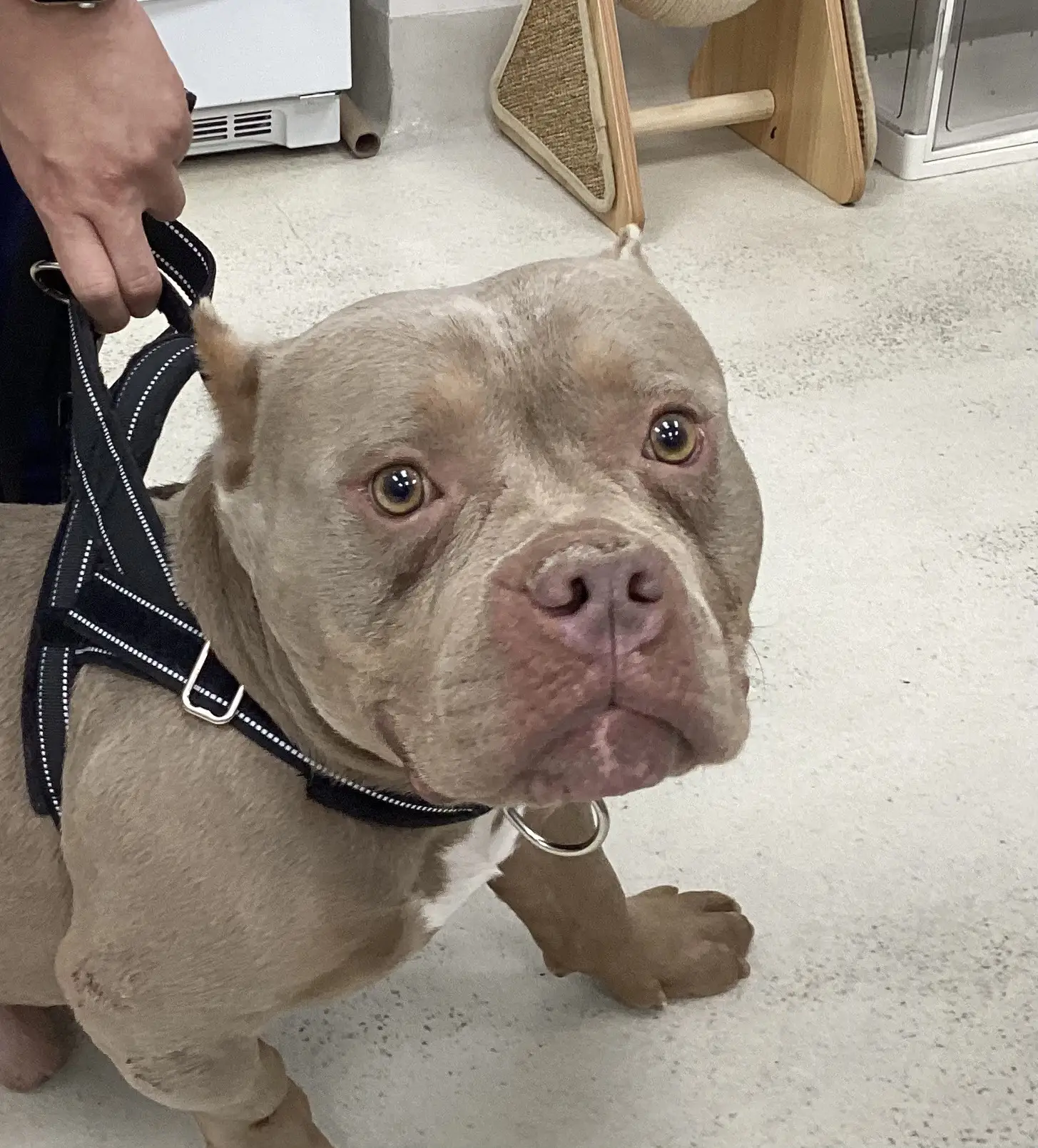 Riverpark Pet Hospital moment