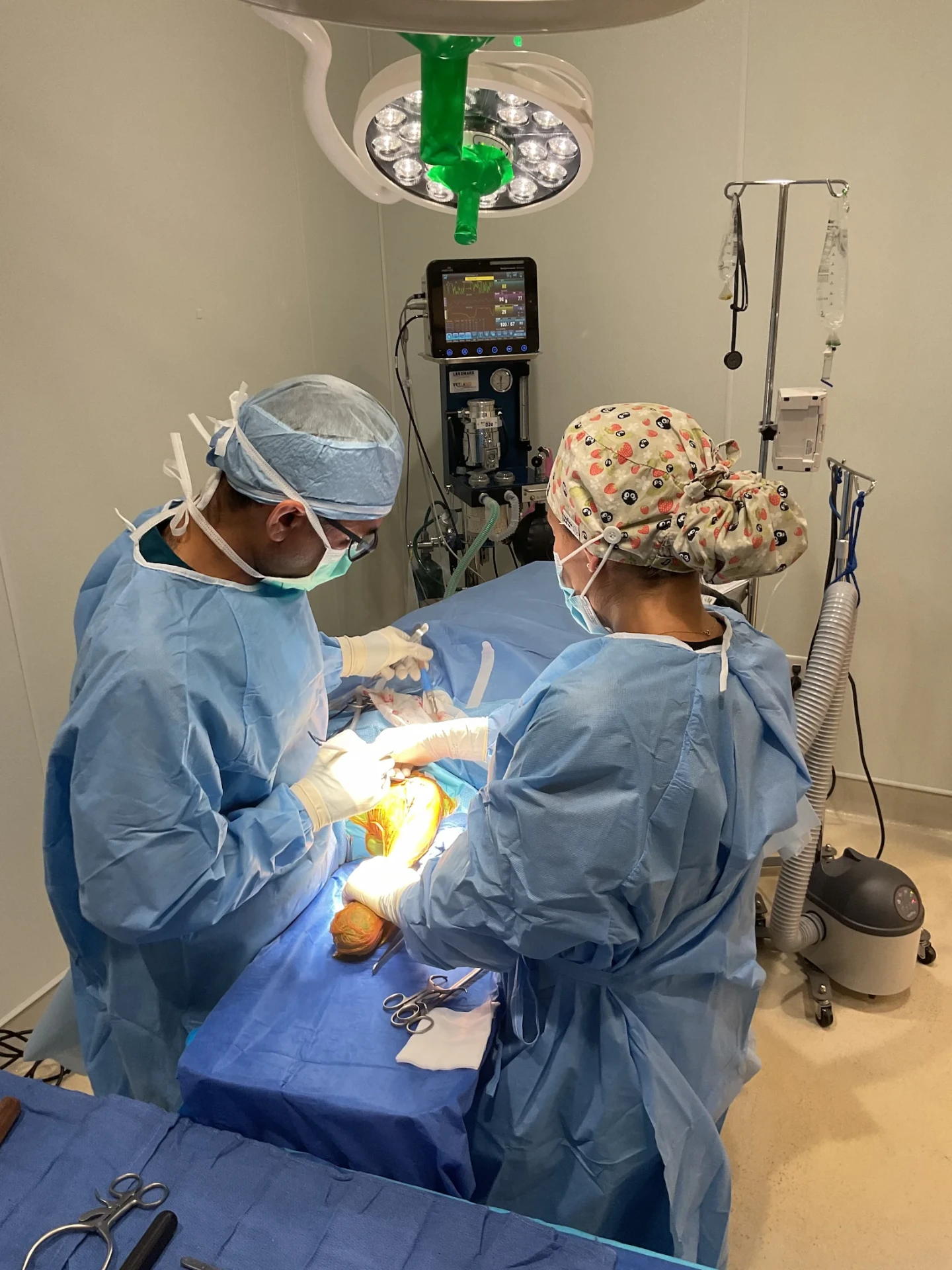 Board-Certified Pet Surgeons