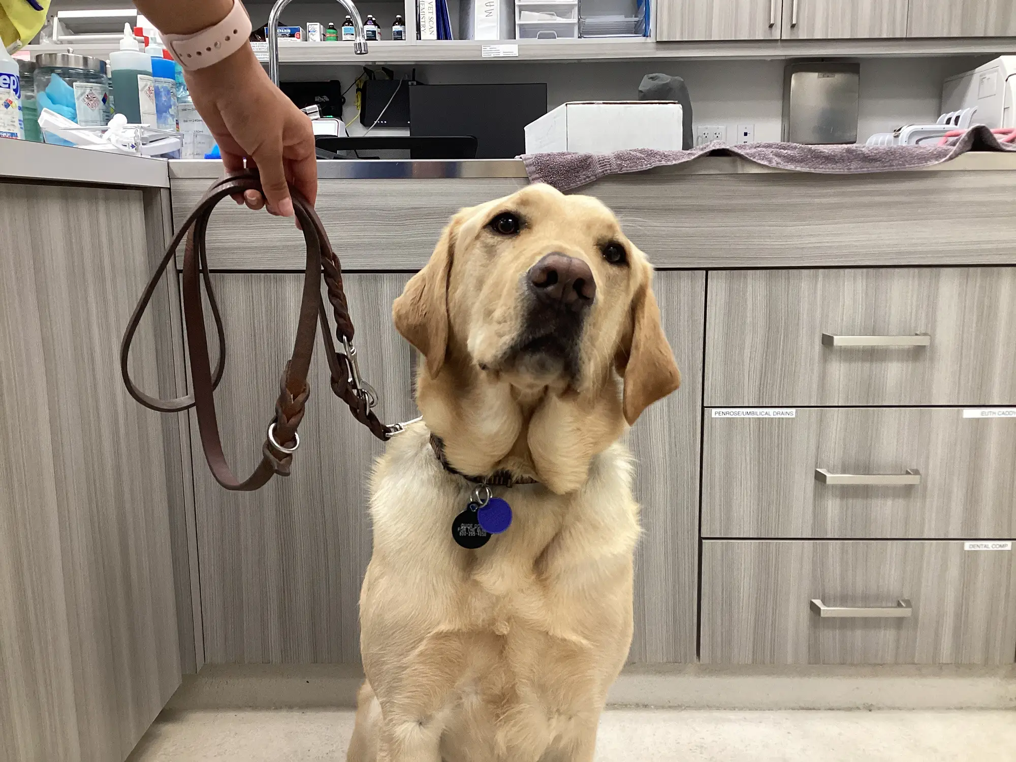 Riverpark Pet Hospital moment