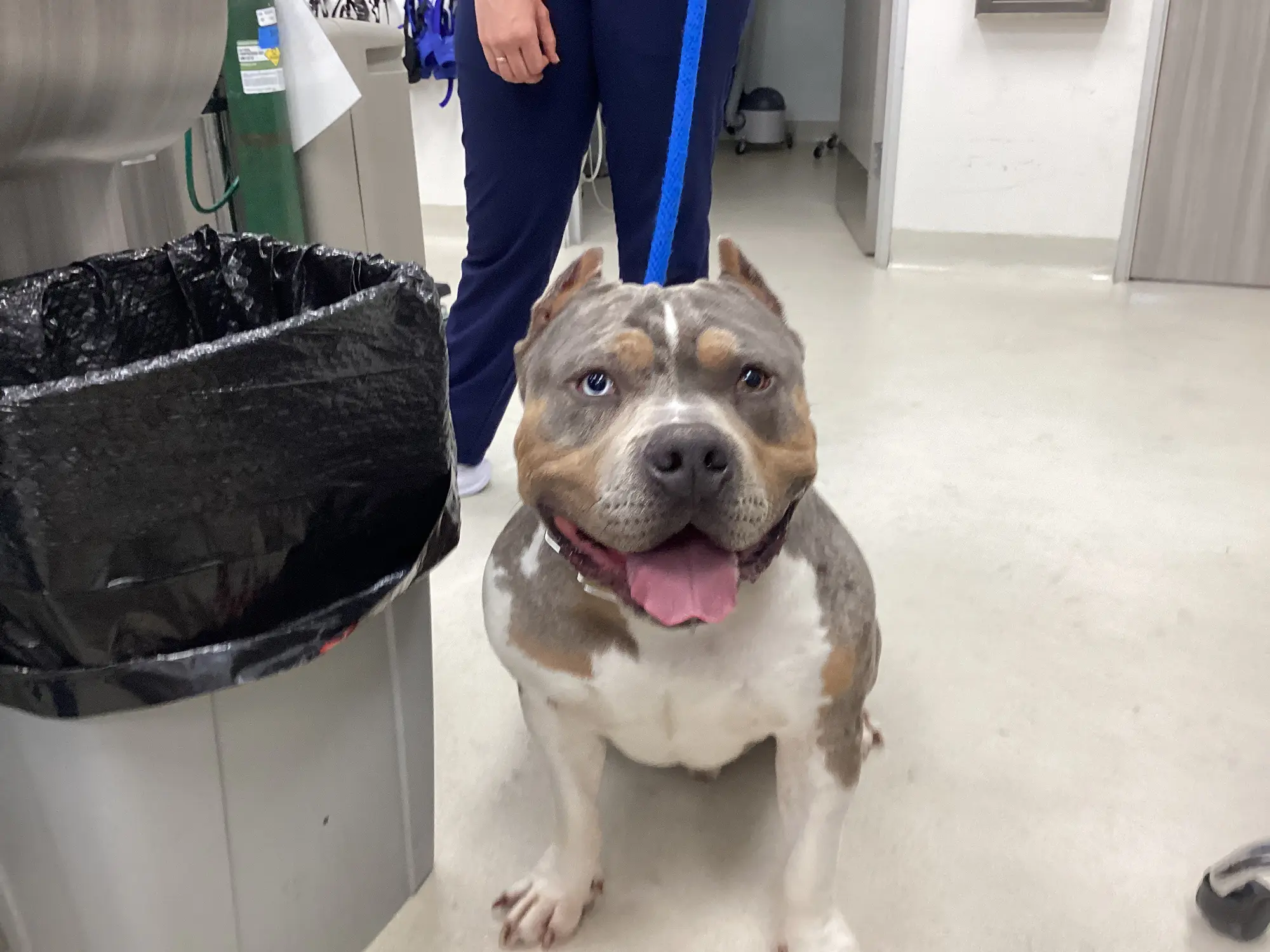 Riverpark Pet Hospital moment
