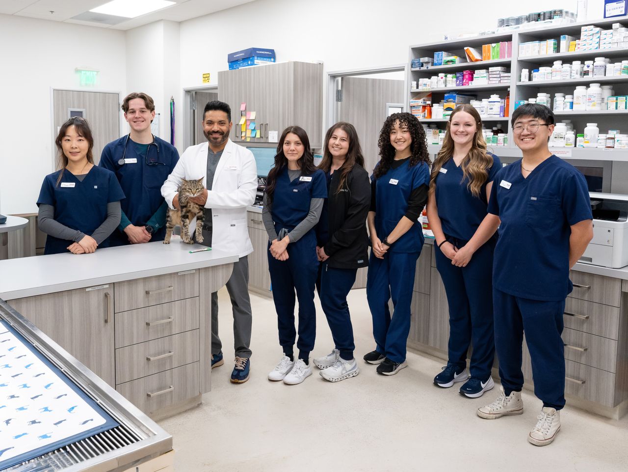 Riverpark Pet Hospital veterinary team