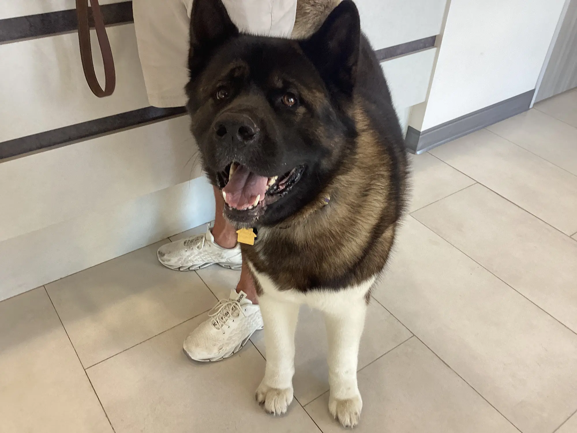 Riverpark Pet Hospital moment