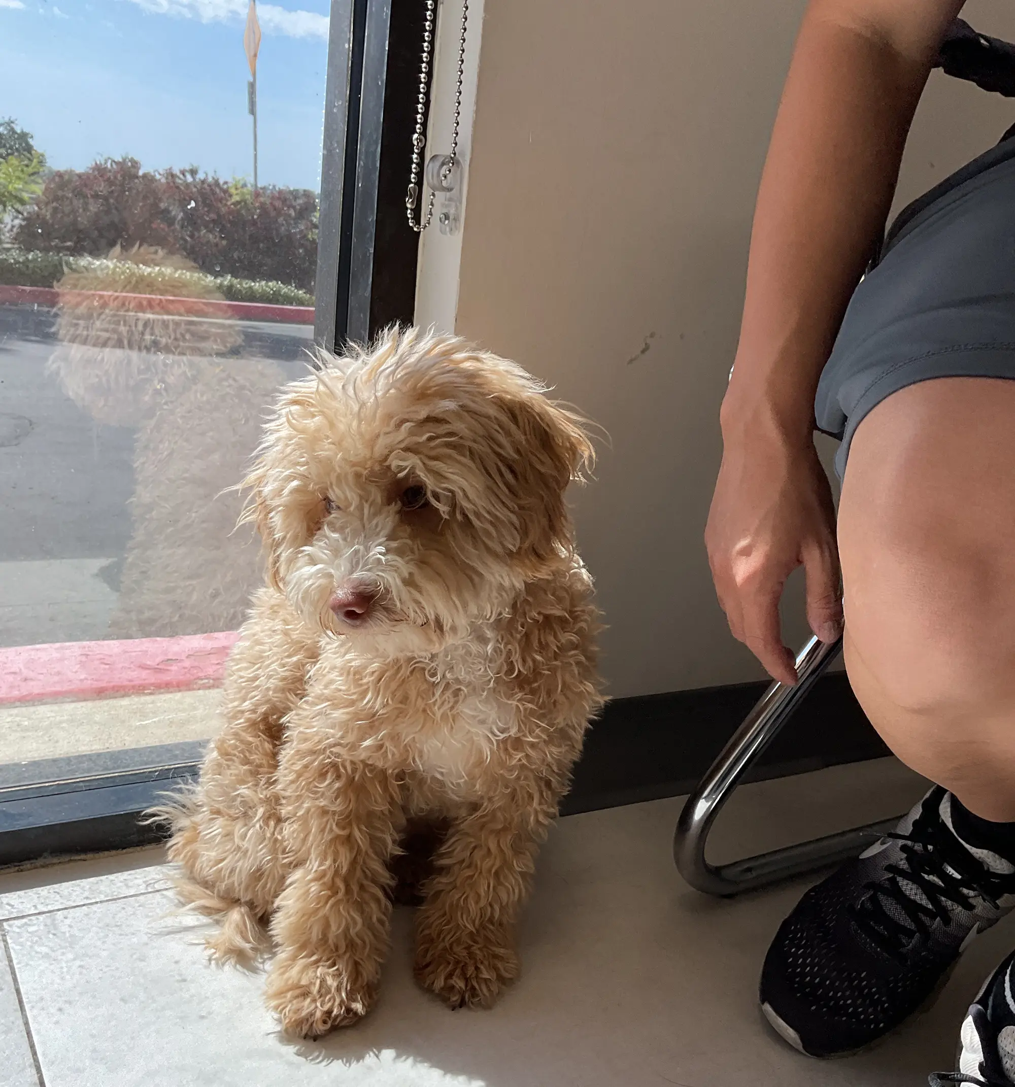 Riverpark Pet Hospital moment