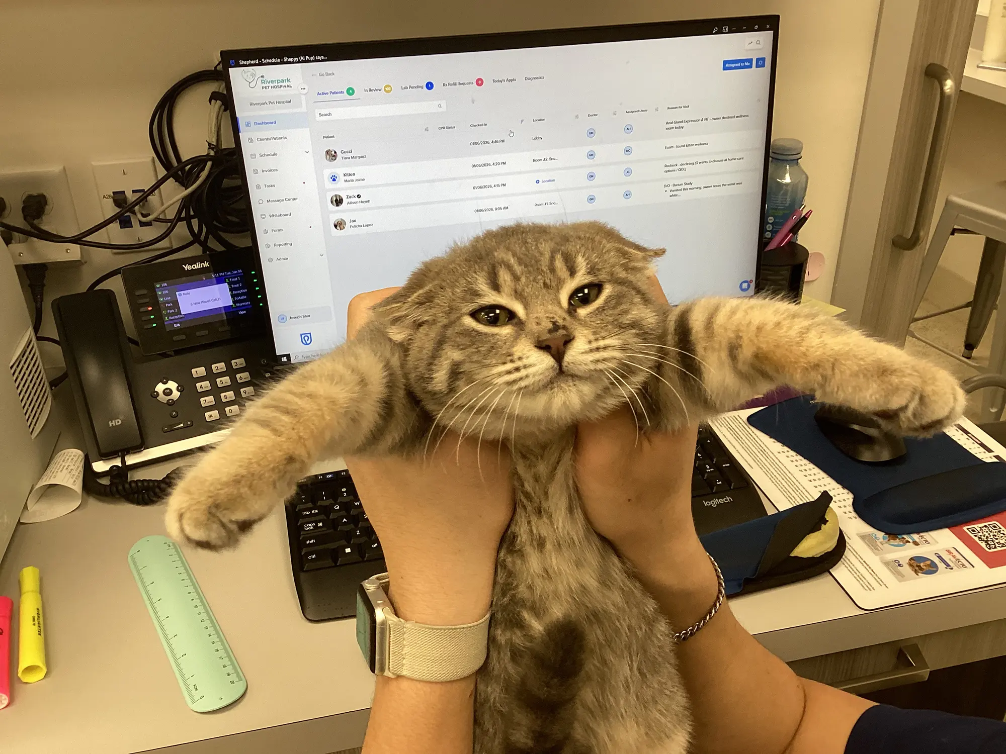 Riverpark Pet Hospital moment
