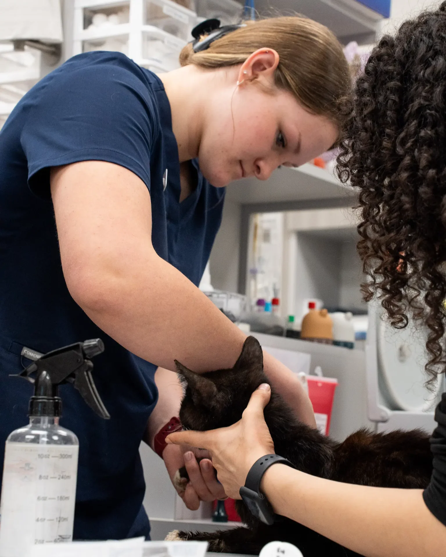Pet Vaccinations