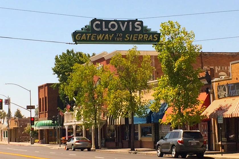 Clovis pet families