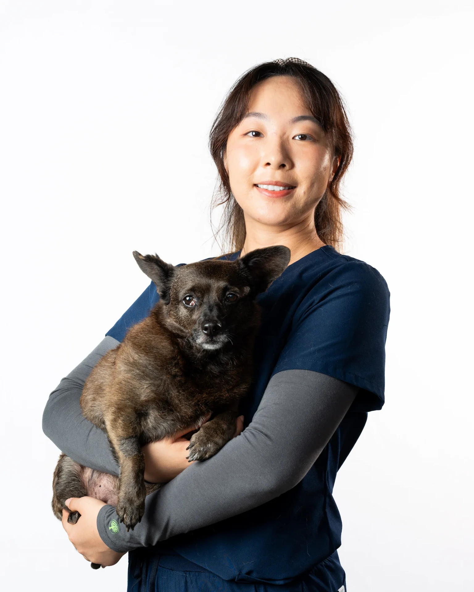 Riverpark Pet Hospital team member holding a small senior dog