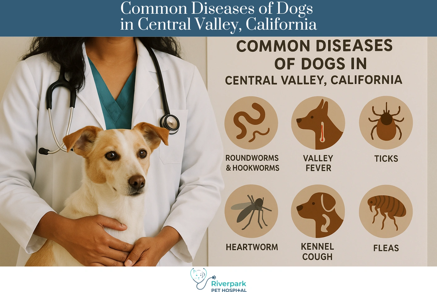Common Diseases of Dogs in Central Valley, California