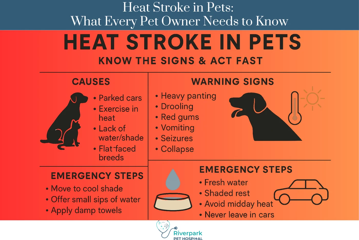 Heat Stroke in Pets: What Every Pet Owner Needs to Know