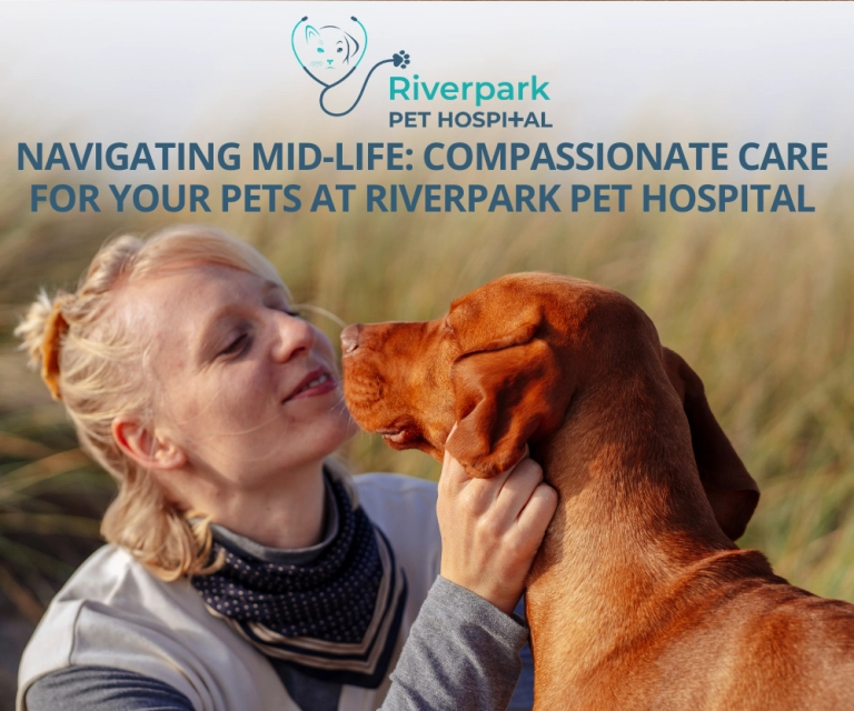 Navigating Mid-Life: Compassionate Care for Your Pets at Riverpark Pet Hospital