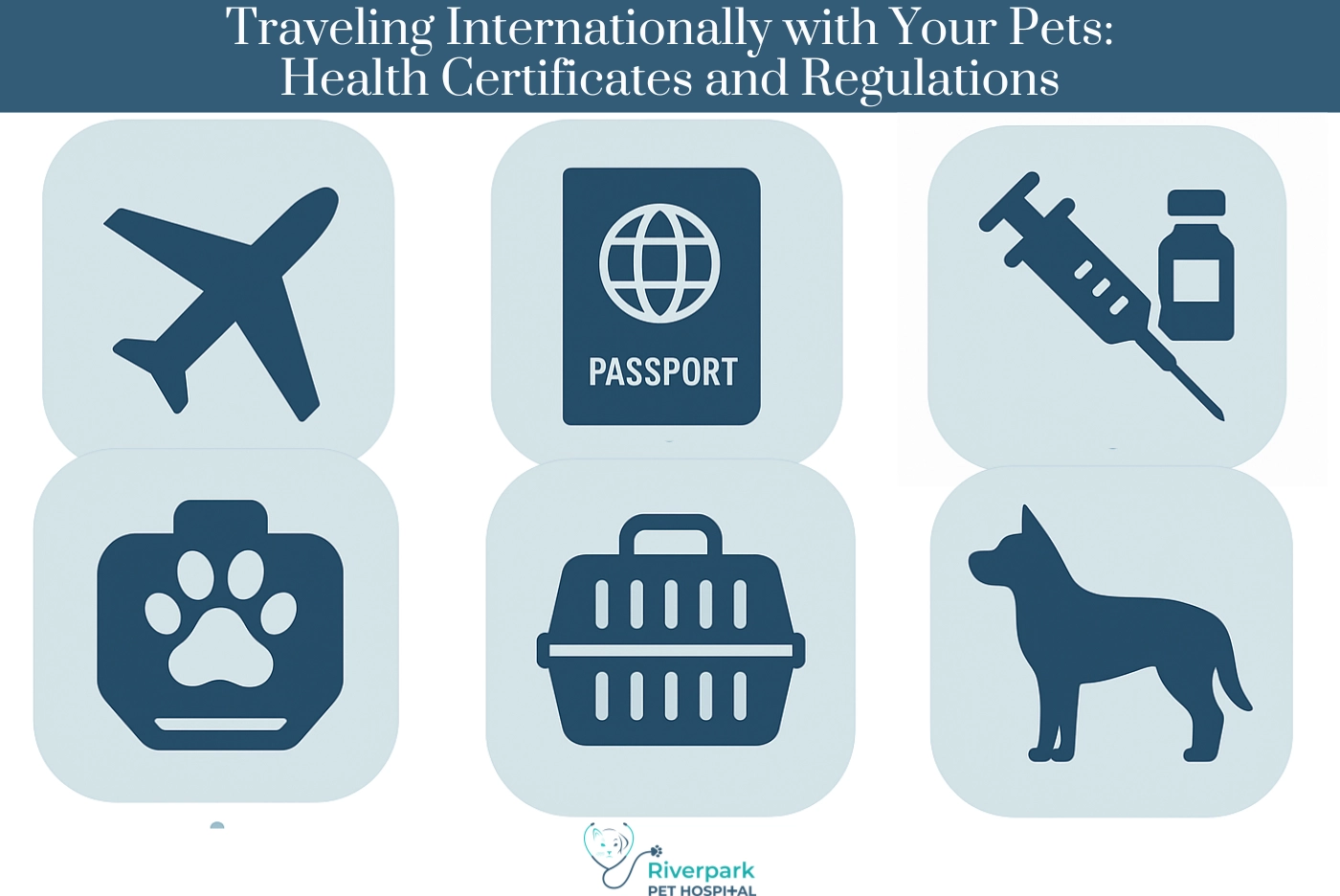 Traveling Internationally with Your Pets: Health Certificates and Regulations