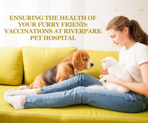 Ensuring the Health of Your Furry Friend: Vaccinations at Riverpark Pet Hospital