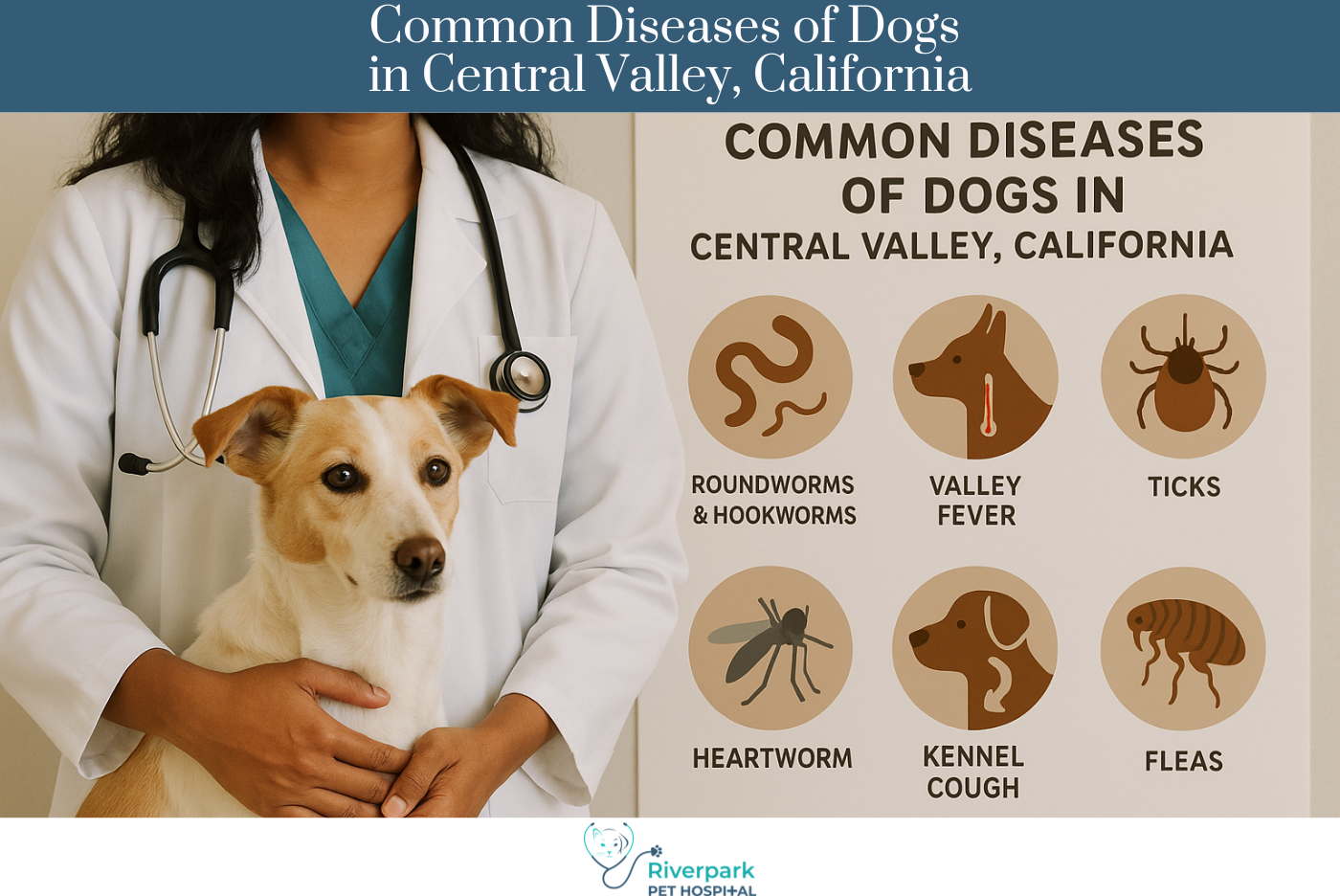 Common Diseases of Dogs in Central Valley, California